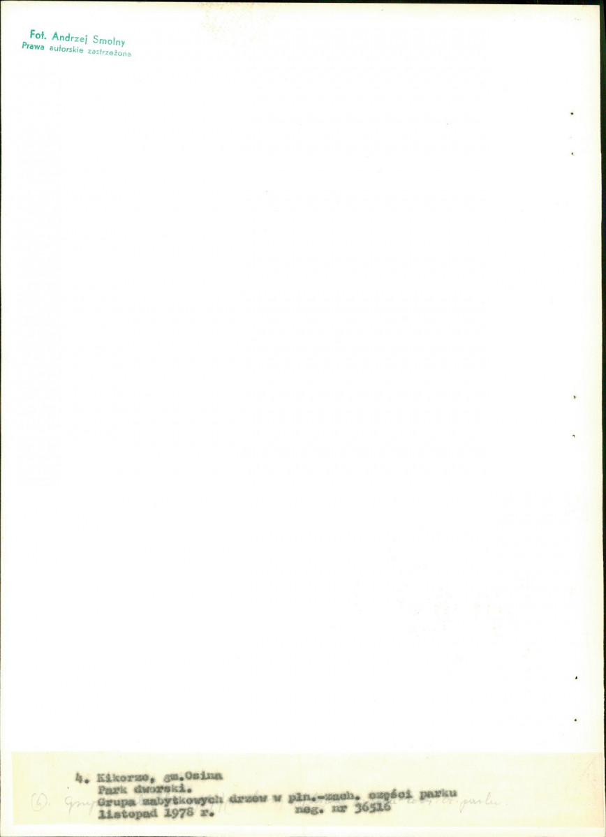 Ewidencja parkowa, skan nr 27
