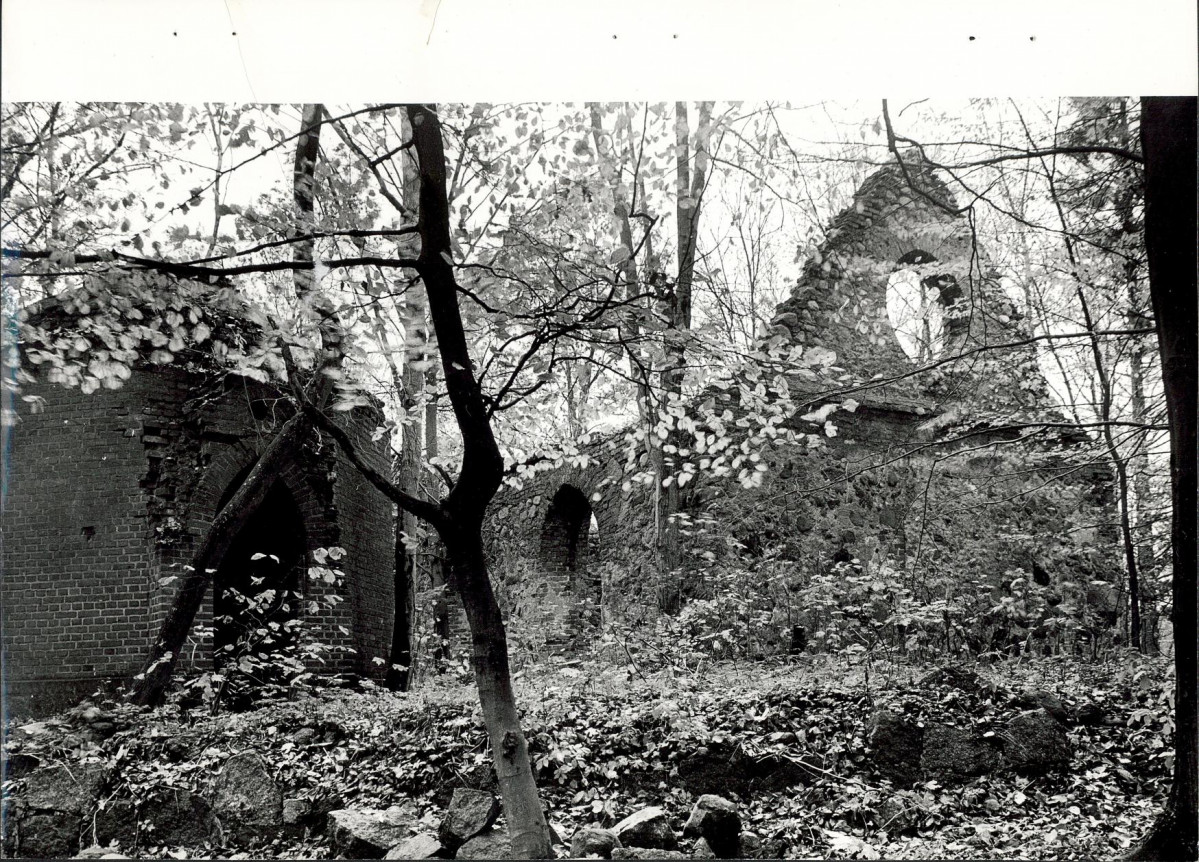 Ewidencja parkowa, skan nr 19