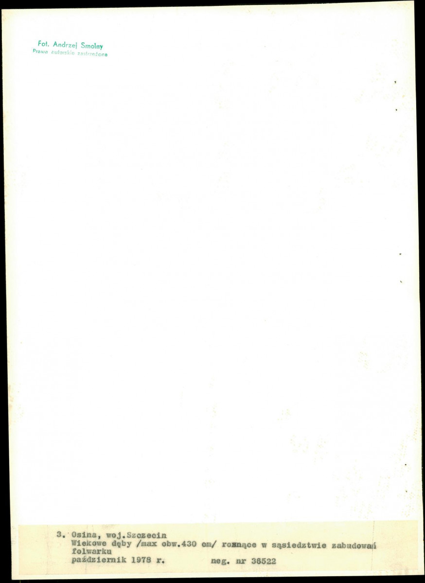 Ewidencja parkowa, skan nr 24