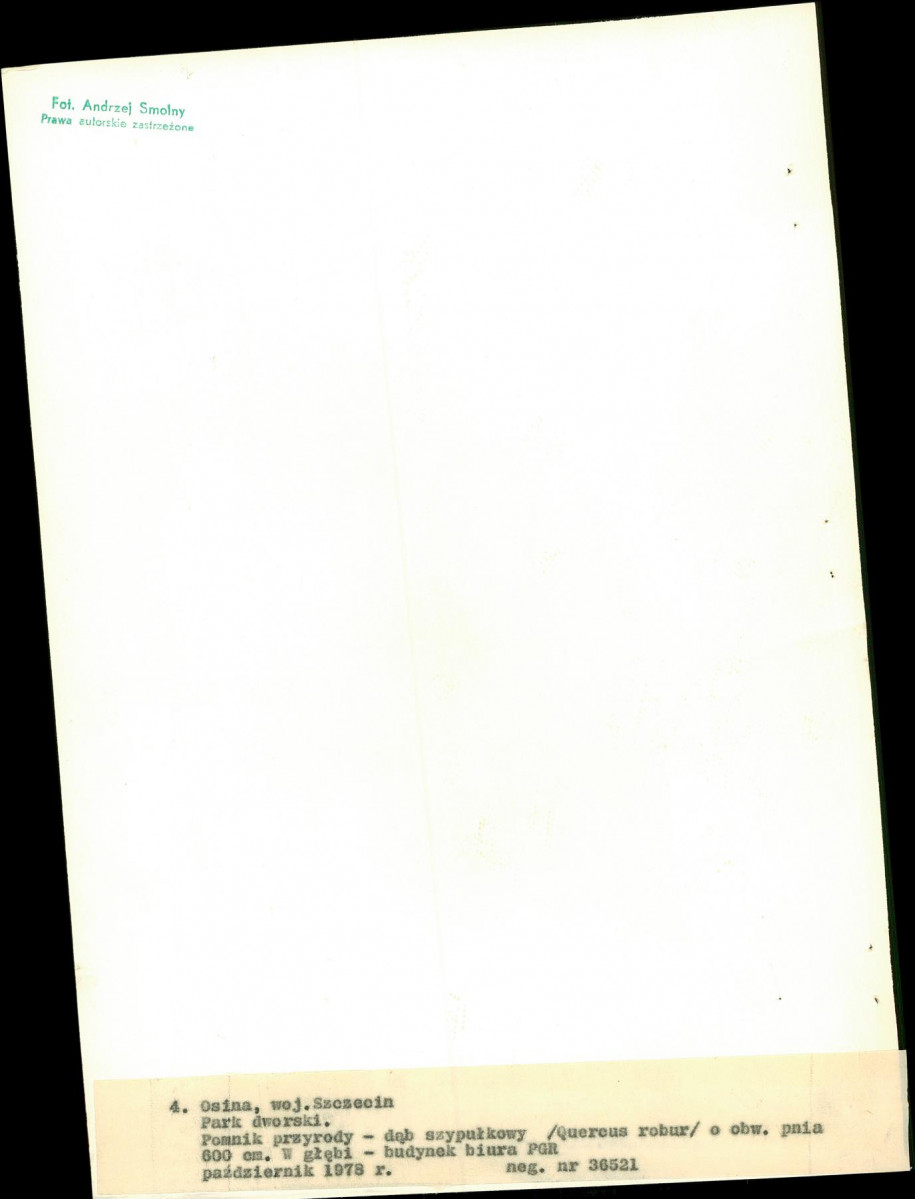 Ewidencja parkowa, skan nr 26
