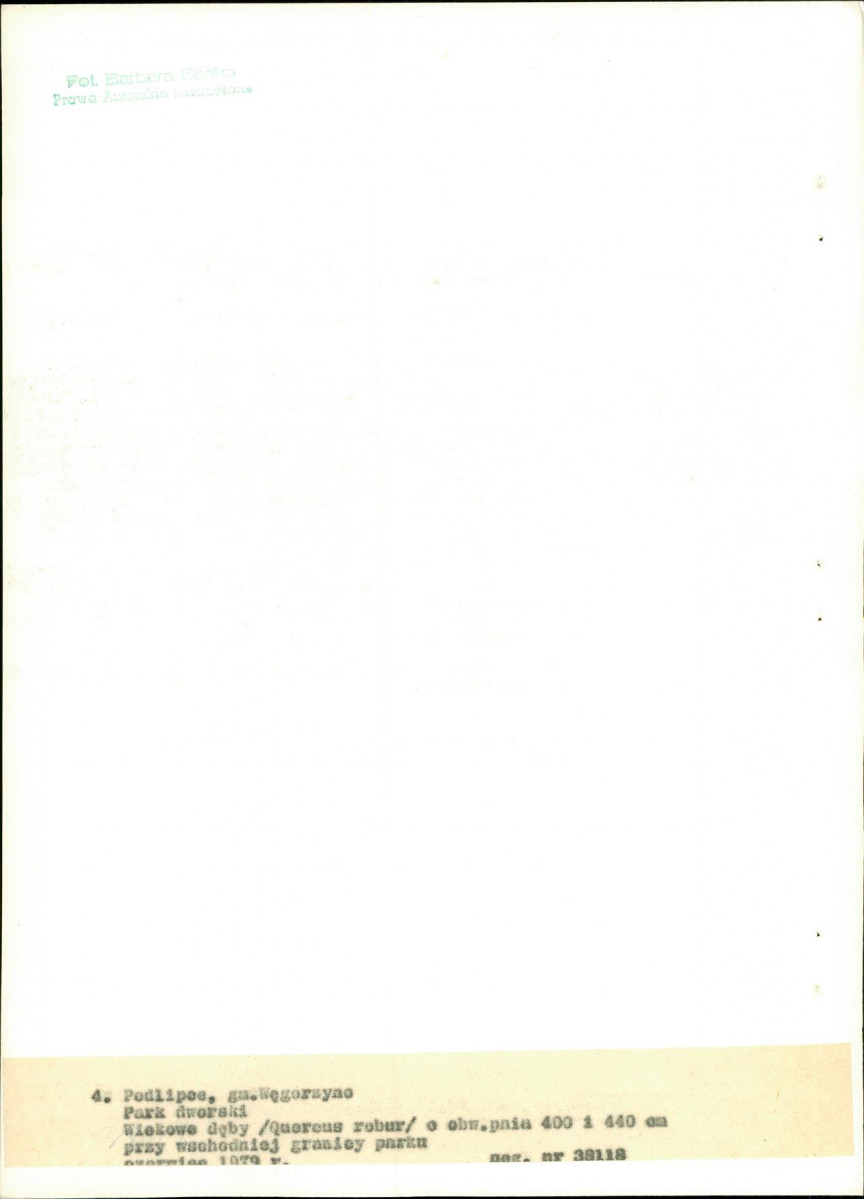 Ewidencja parkowa, skan nr 25