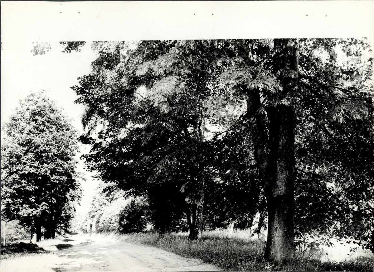 Ewidencja parkowa, skan nr 23