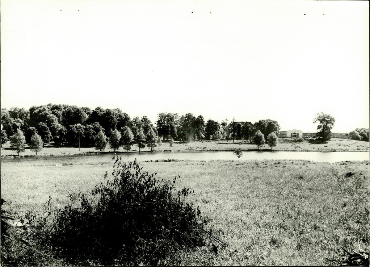 Ewidencja parkowa, skan nr 25