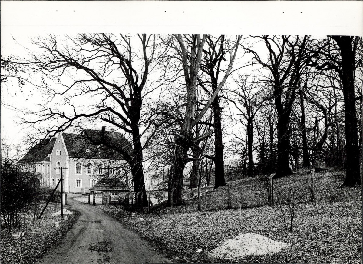 EP - Ewidencja parkowa, skan nr 23