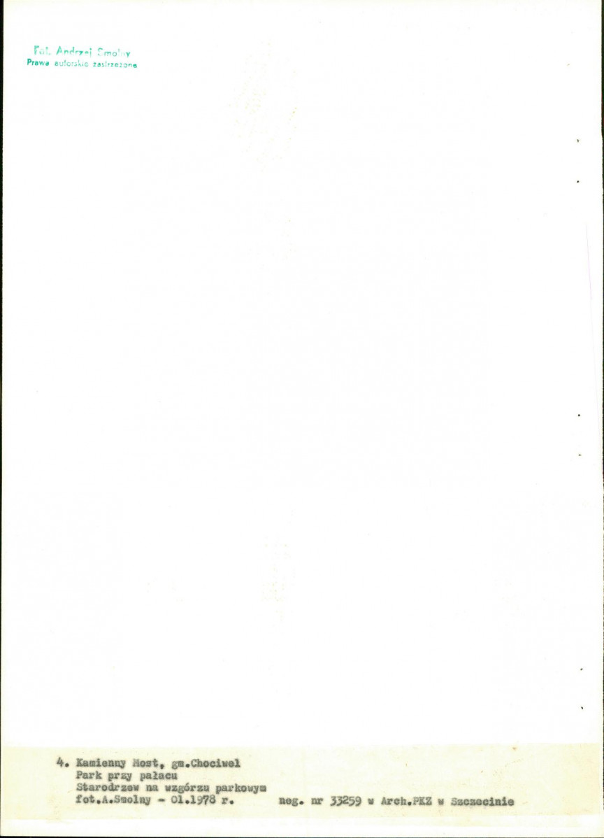 EP - Ewidencja parkowa, skan nr 28