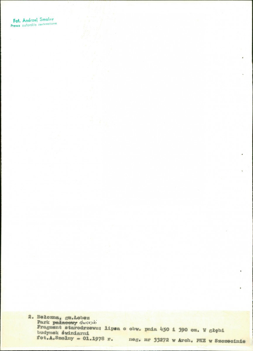 Ewidencja parkowa, skan nr 22