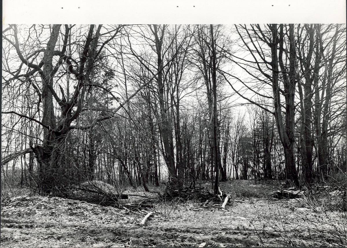 Ewidencja parkowa, skan nr 23