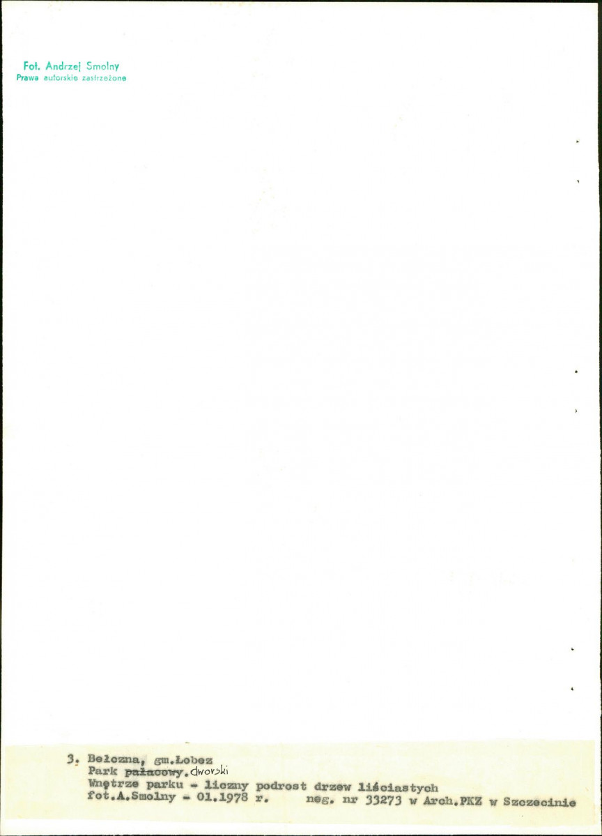 Ewidencja parkowa, skan nr 24