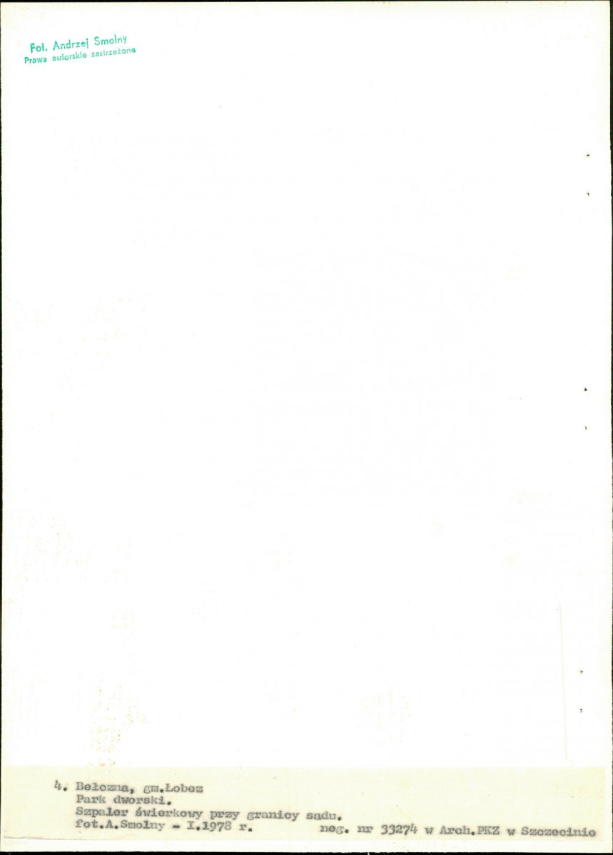 Ewidencja parkowa, skan nr 26