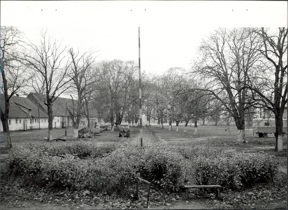 Ewidencja parkowa, skan nr 24