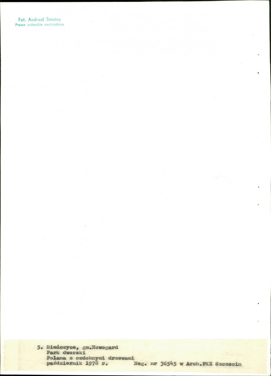 Ewidencja parkowa, skan nr 29