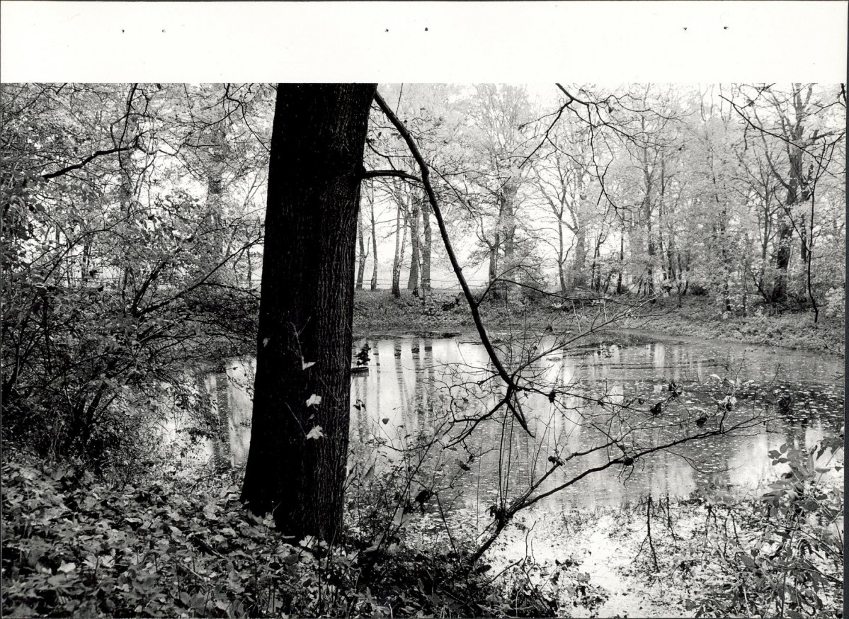 Ewidencja parkowa, skan nr 30