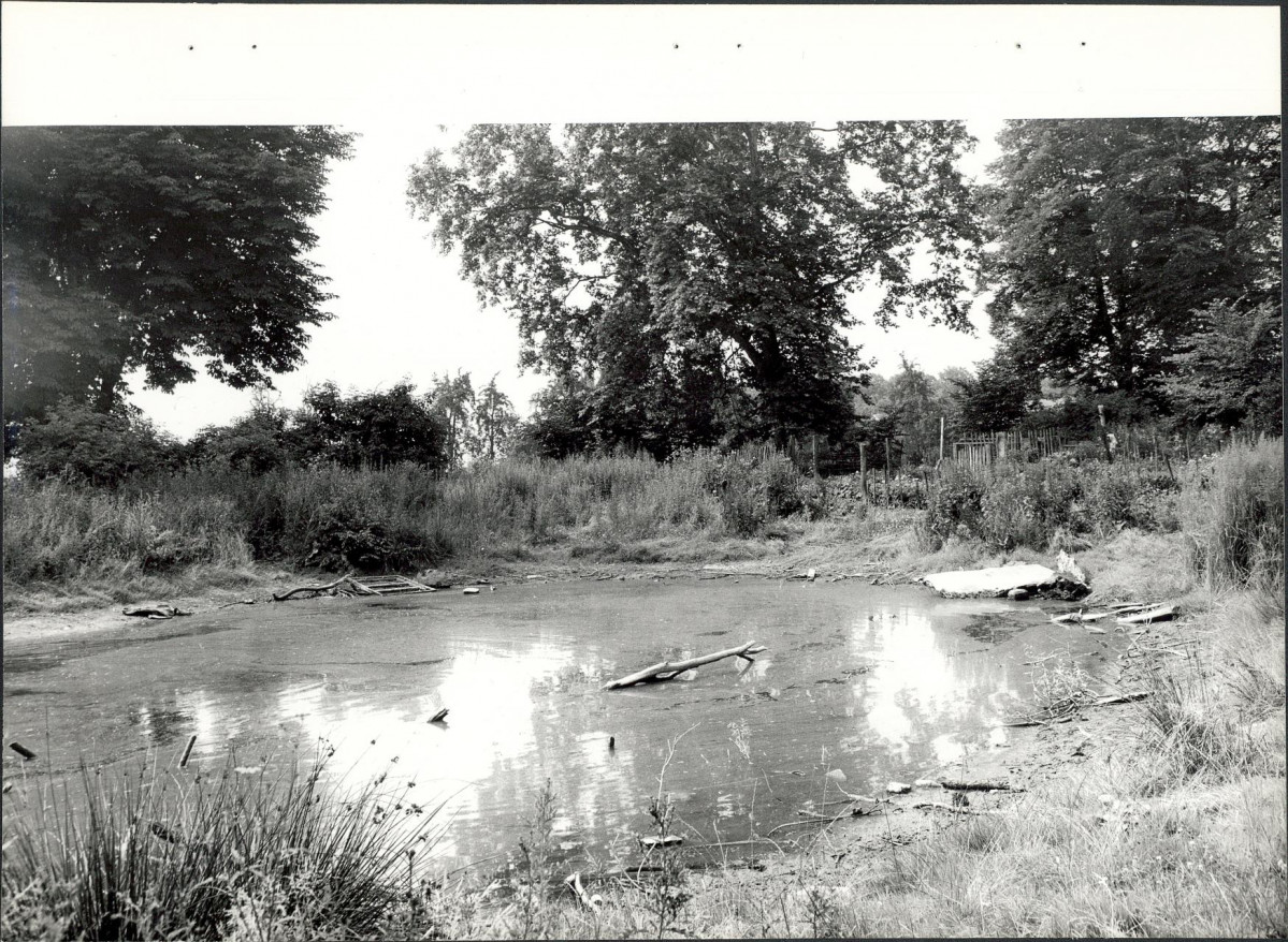 EP - Ewidencja parkowa, skan nr 21