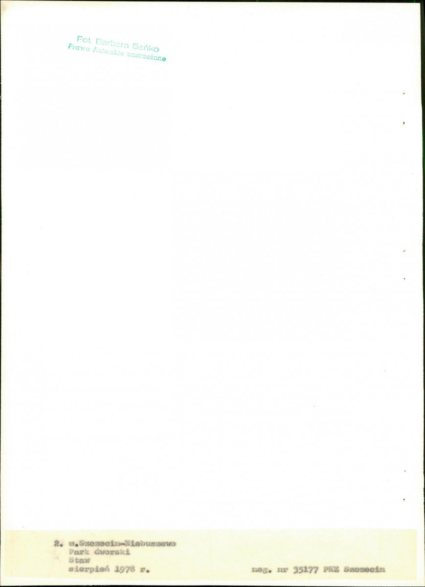 EP - Ewidencja parkowa, skan nr 22