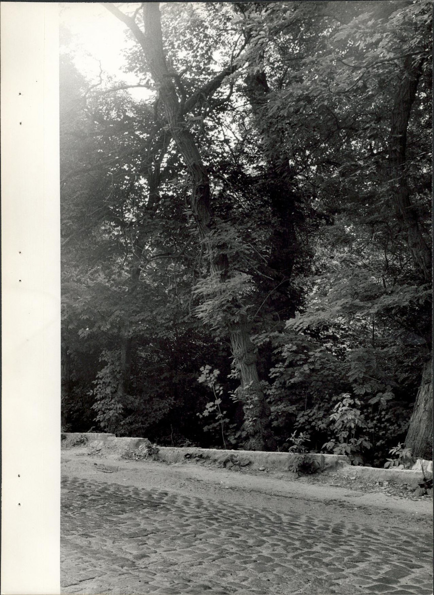 EP - Ewidencja parkowa, skan nr 25