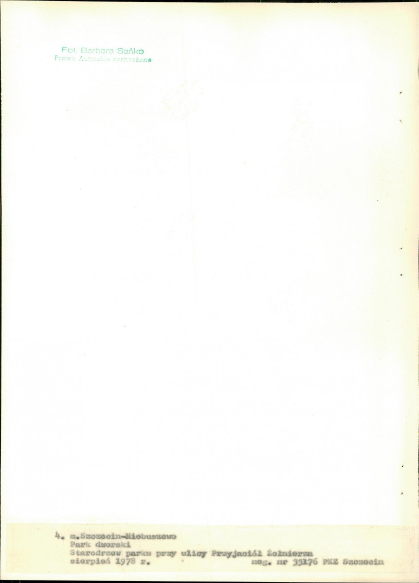 EP - Ewidencja parkowa, skan nr 26