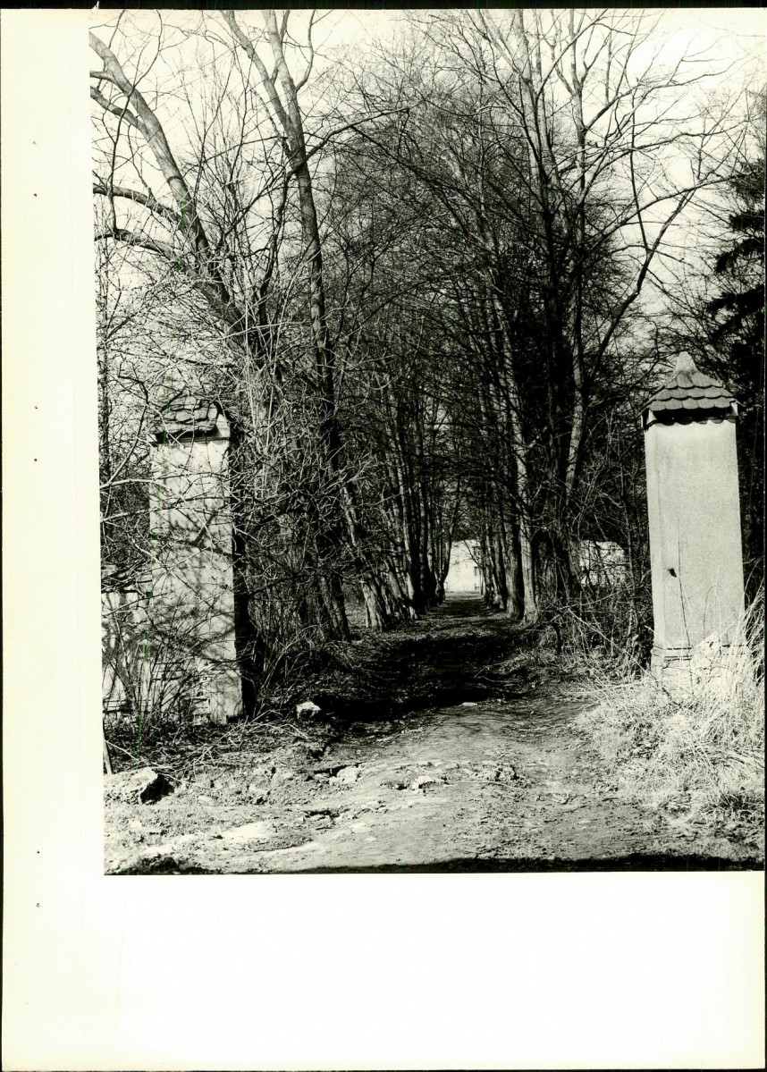 EP - Ewidencja parkowa, skan nr 23