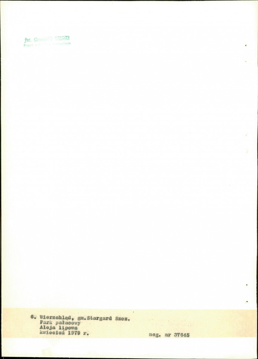 EP - Ewidencja parkowa, skan nr 34