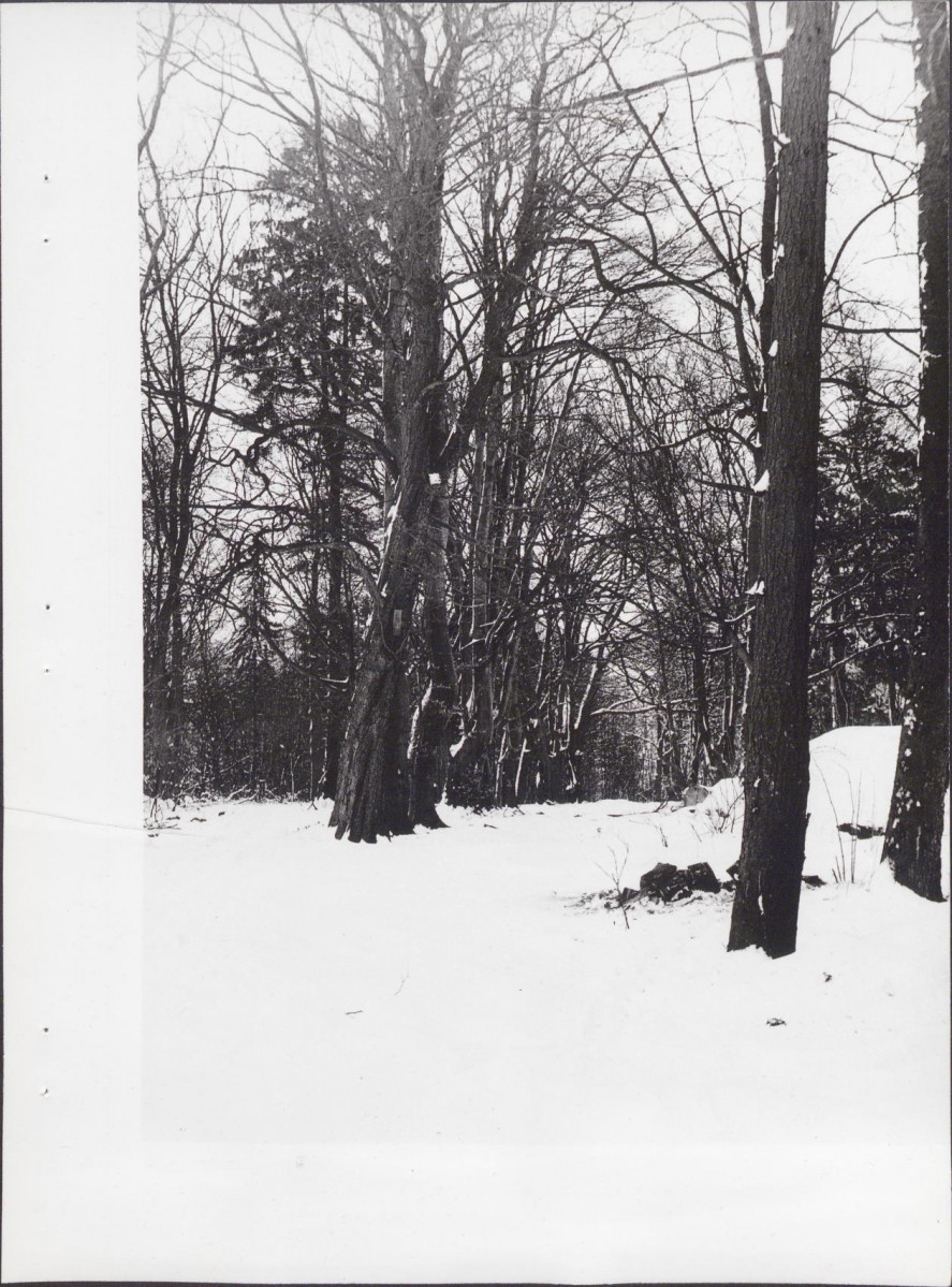Ewidencja parkowa, skan nr 26