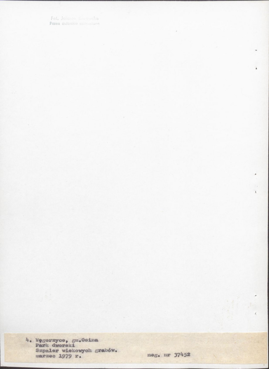 Ewidencja parkowa, skan nr 29