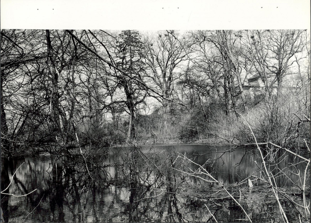 Ewidencja parkowa, skan nr 23
