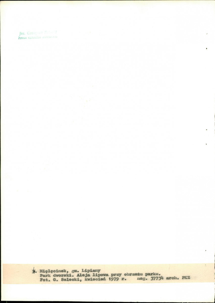 Ewidencja parkowa, skan nr 26