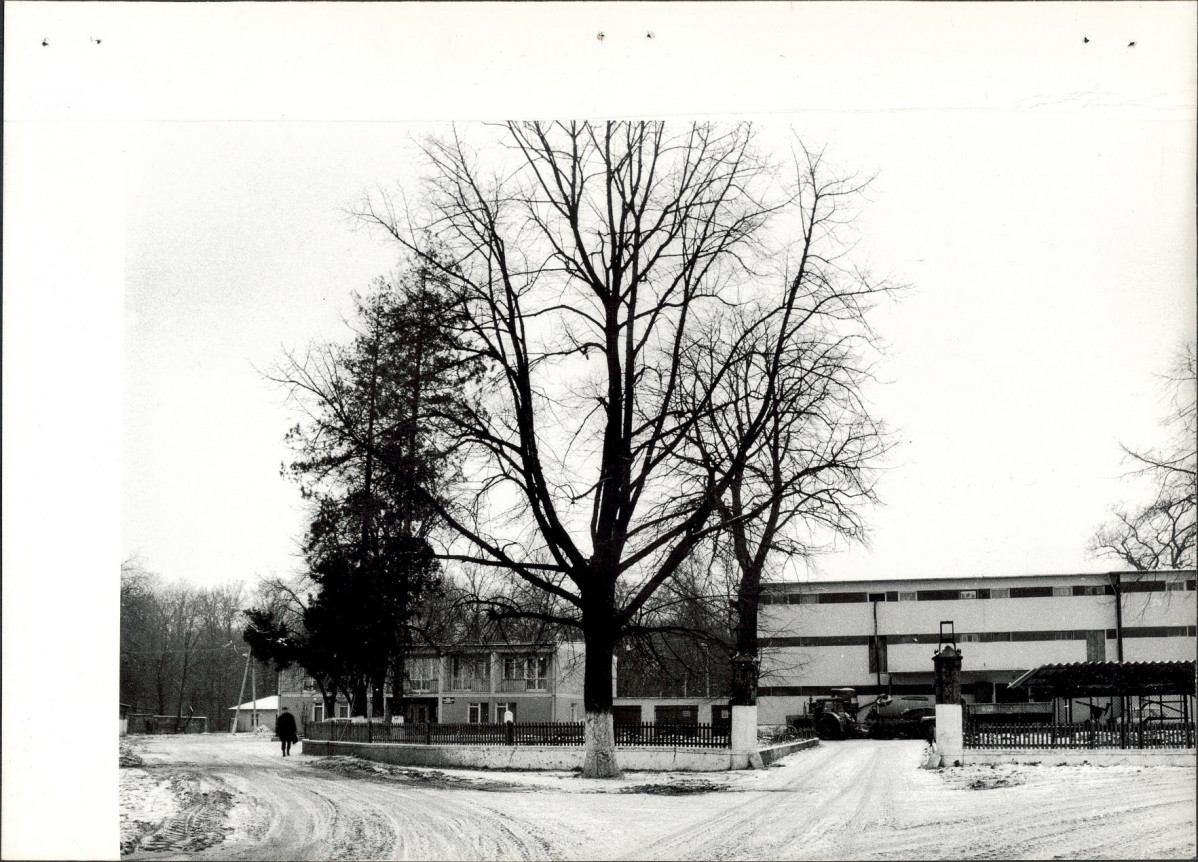 Ewidencja parkowa, skan nr 16