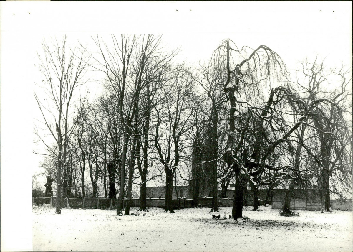 Ewidencja parkowa, skan nr 20