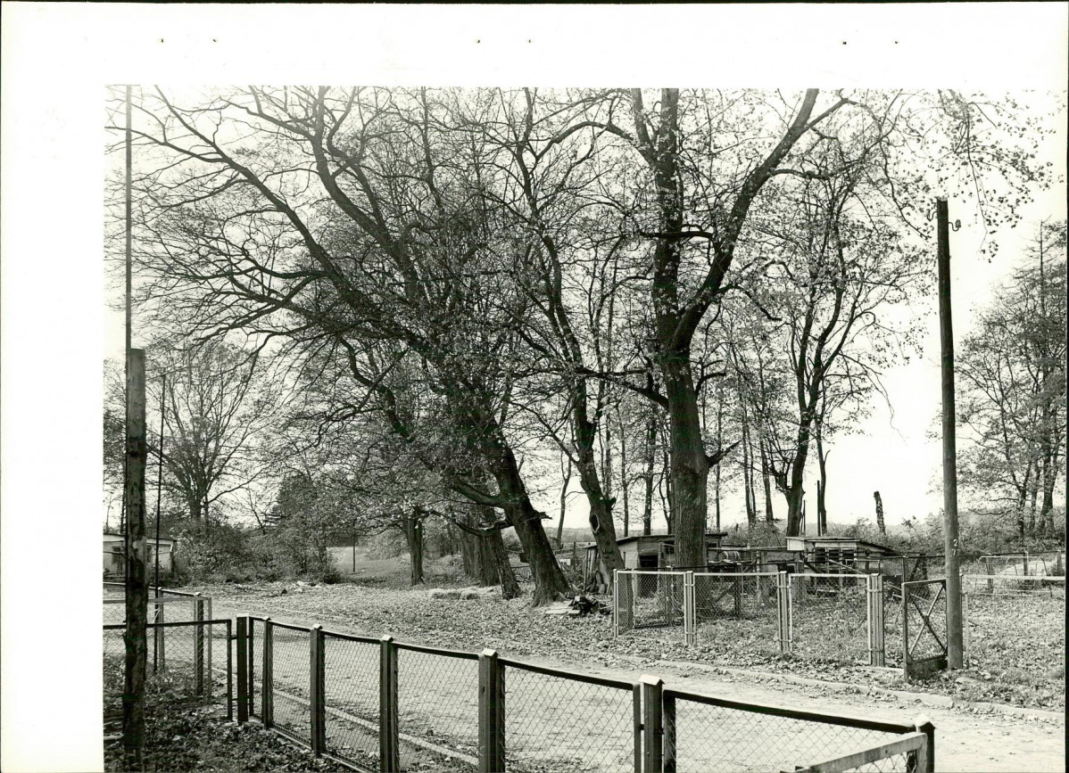 Ewidencja parkowa, skan nr 18