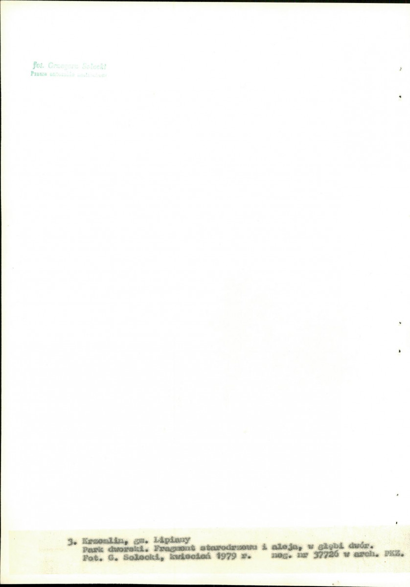 Ewidencja parkowa, skan nr 24