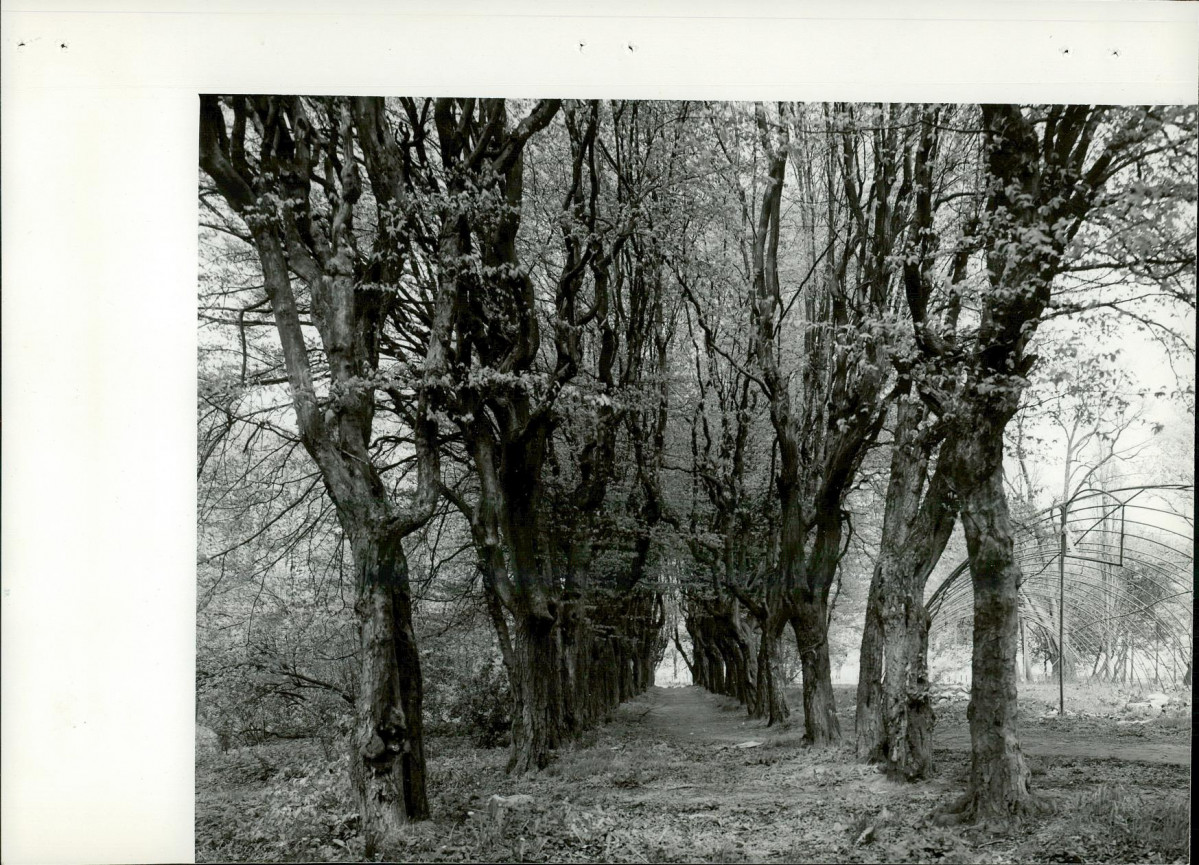 Ewidencja parkowa, skan nr 21