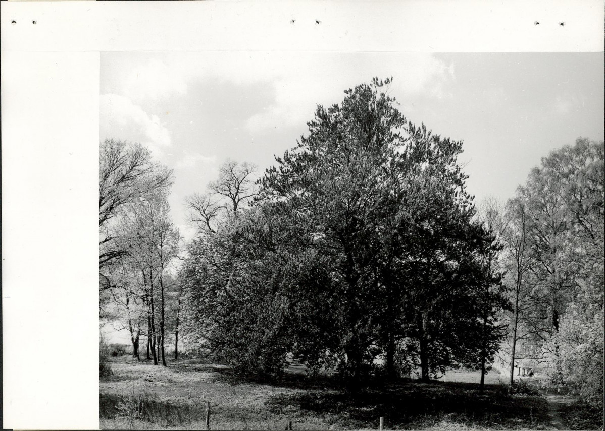 Ewidencja parkowa, skan nr 23