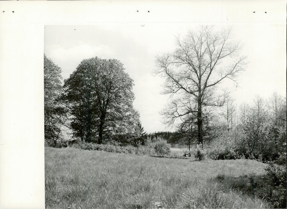 Ewidencja parkowa, skan nr 25