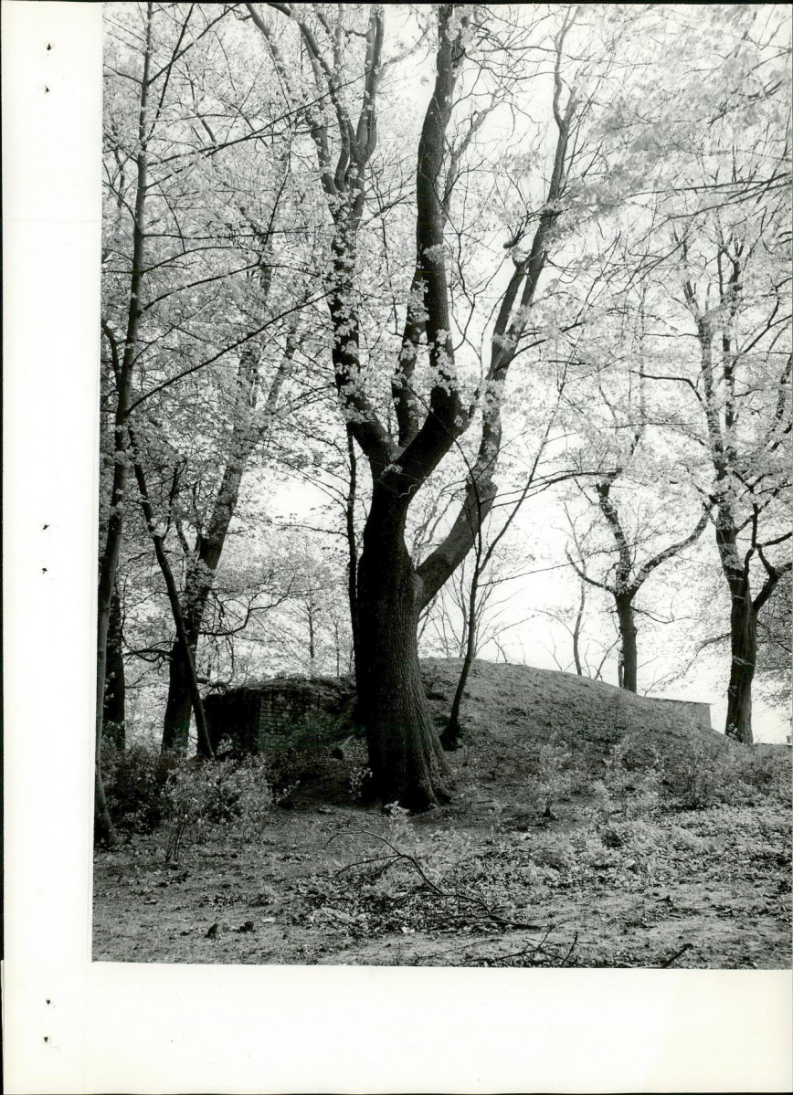 Ewidencja parkowa, skan nr 20