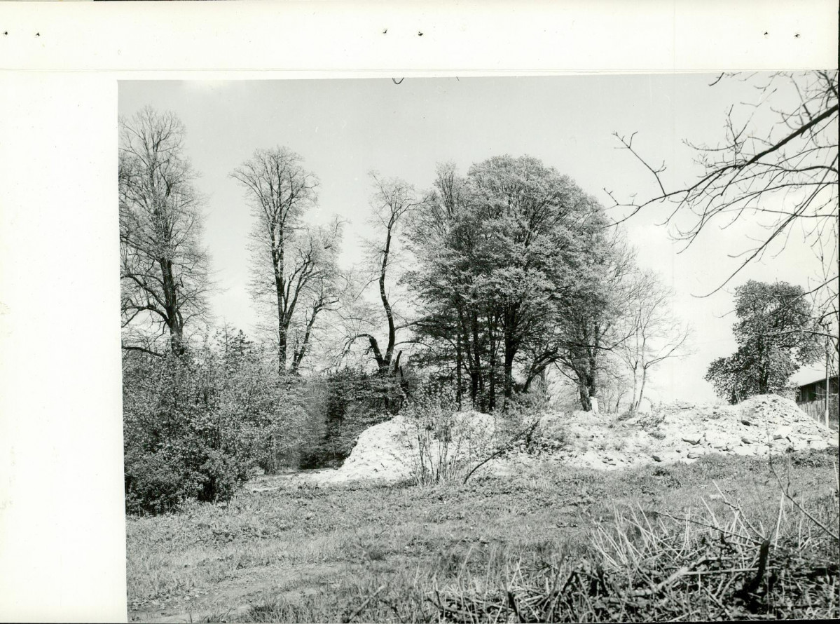Ewidencja parkowa, skan nr 14