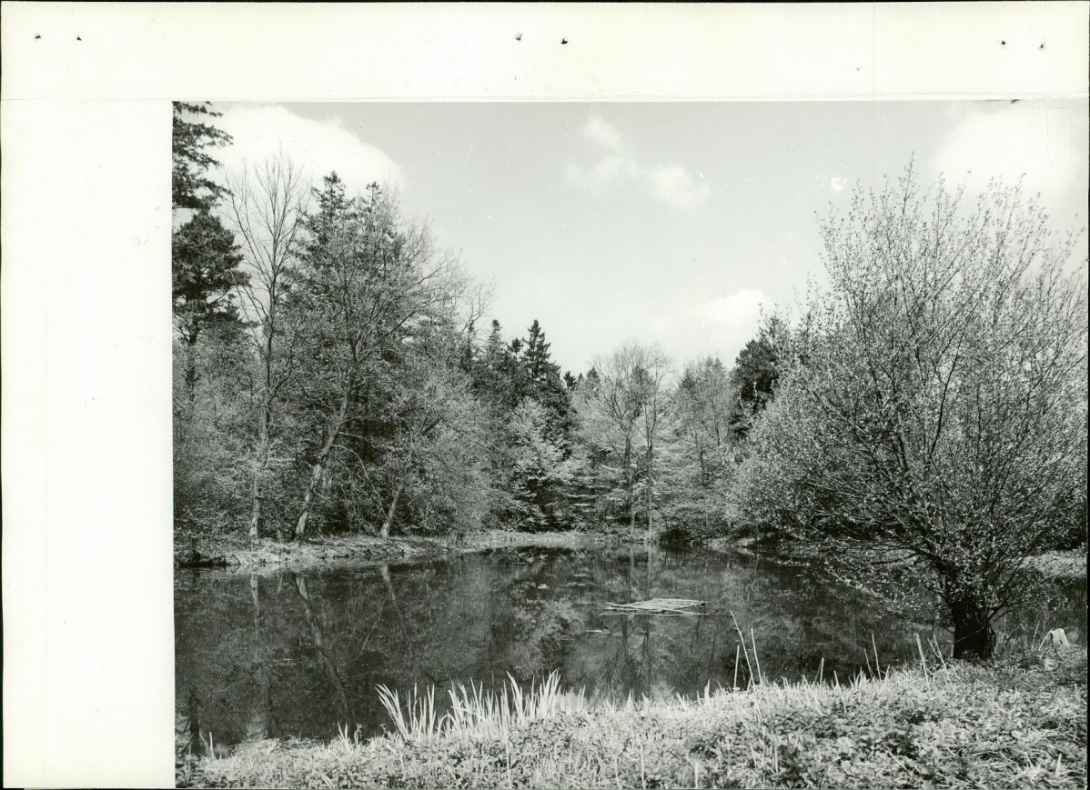 Ewidencja parkowa, skan nr 16