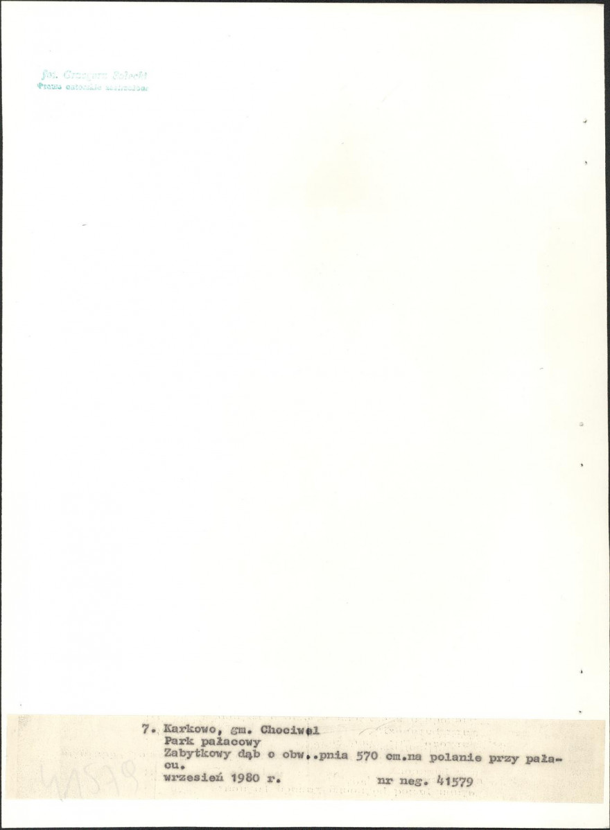 EP - Ewidencja parkowa, skan nr 35