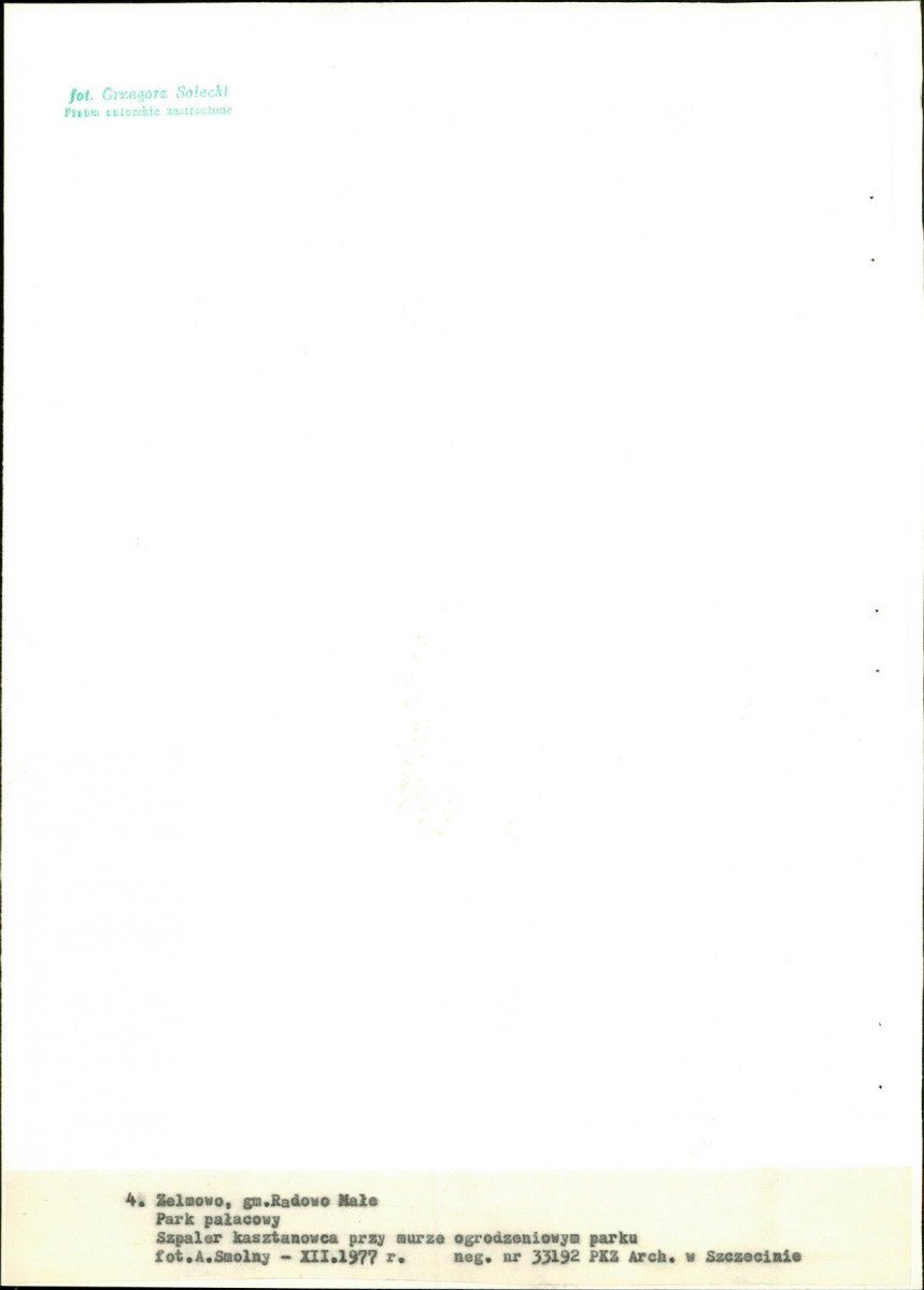 Ewidencja parkowa, skan nr 31