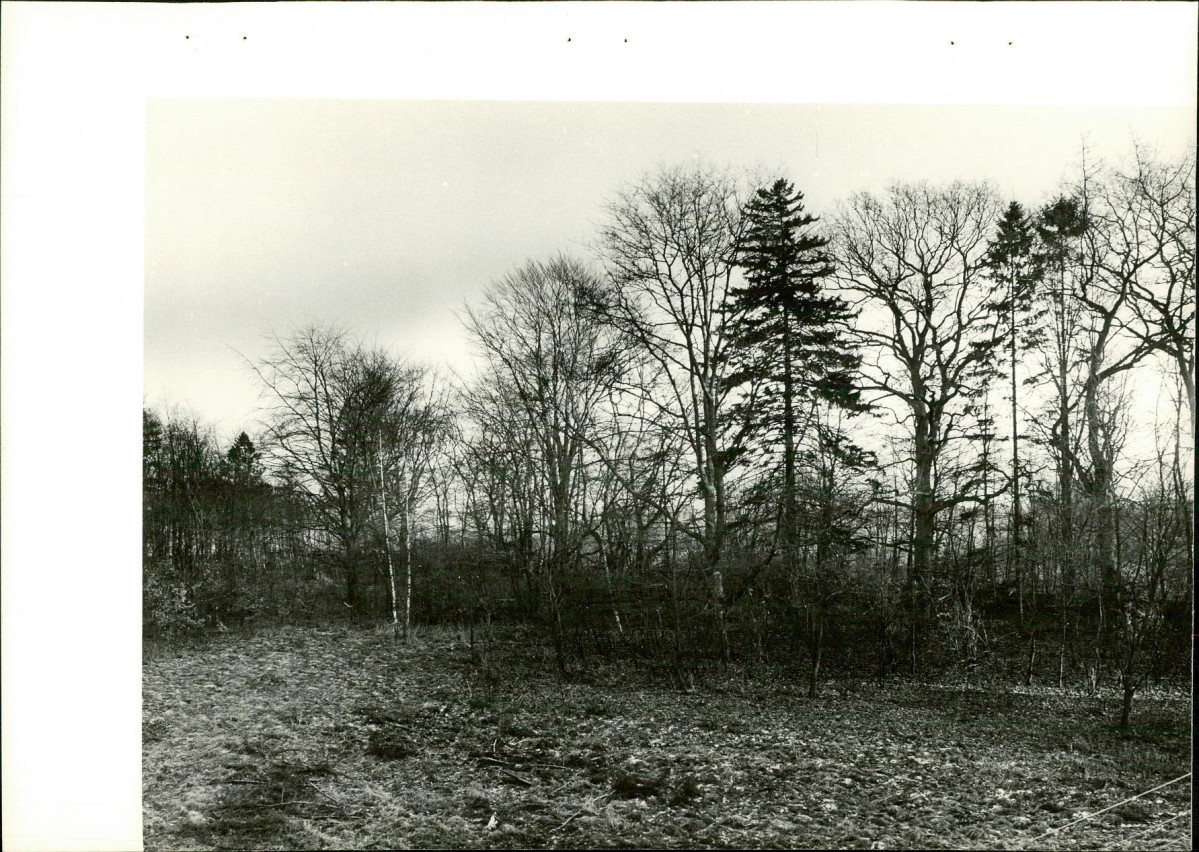 Ewidencja parkowa, skan nr 32