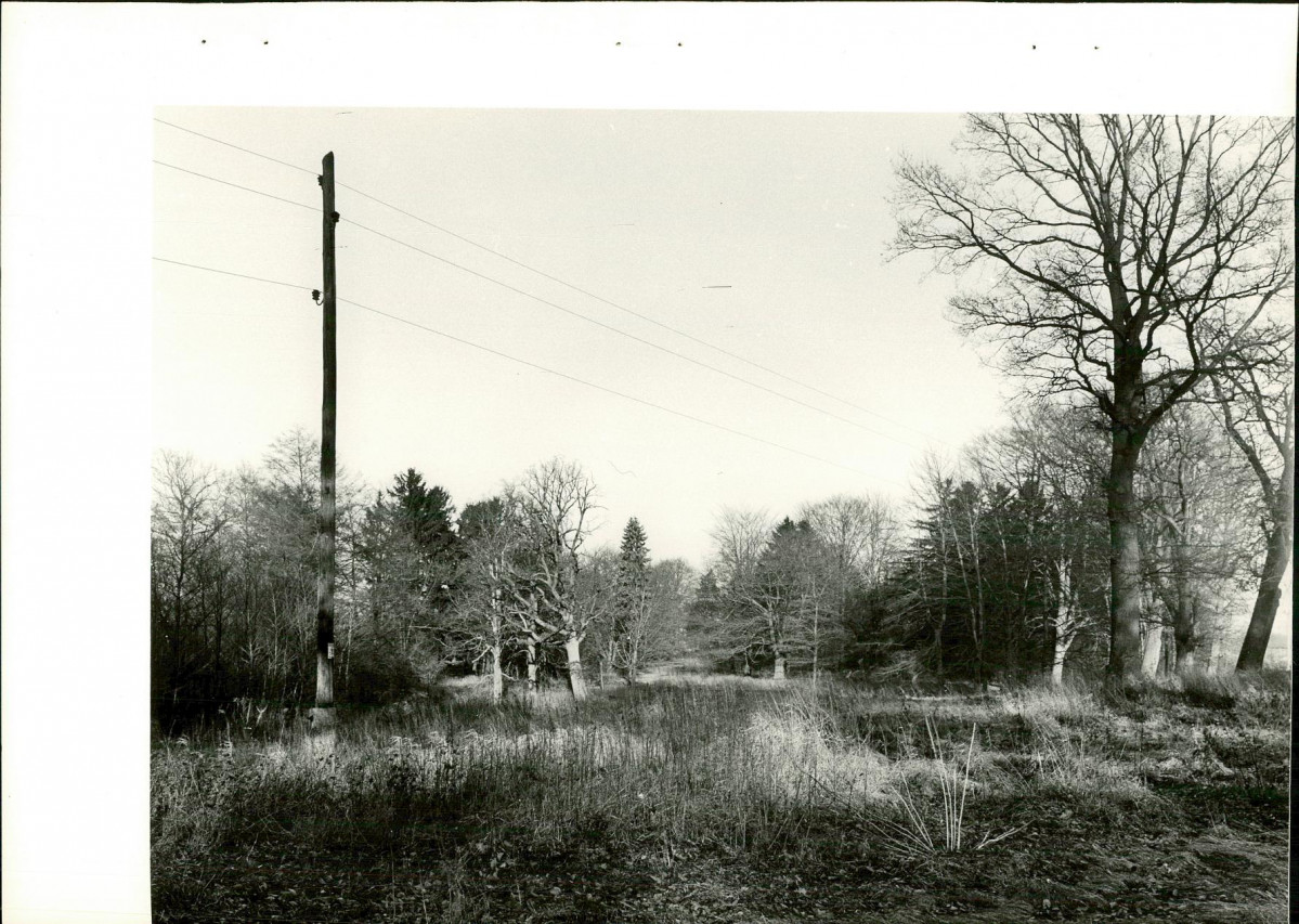 Ewidencja parkowa, skan nr 34