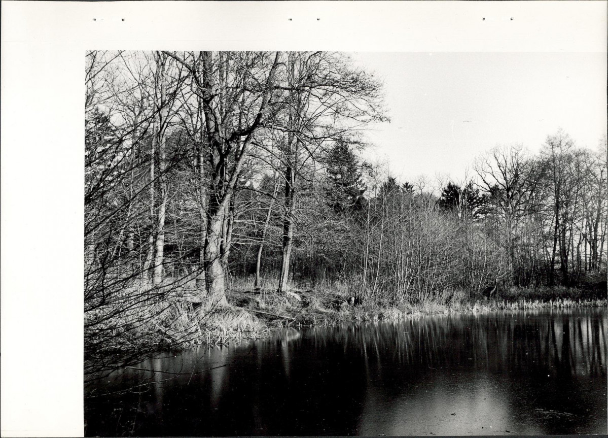 Ewidencja parkowa, skan nr 38