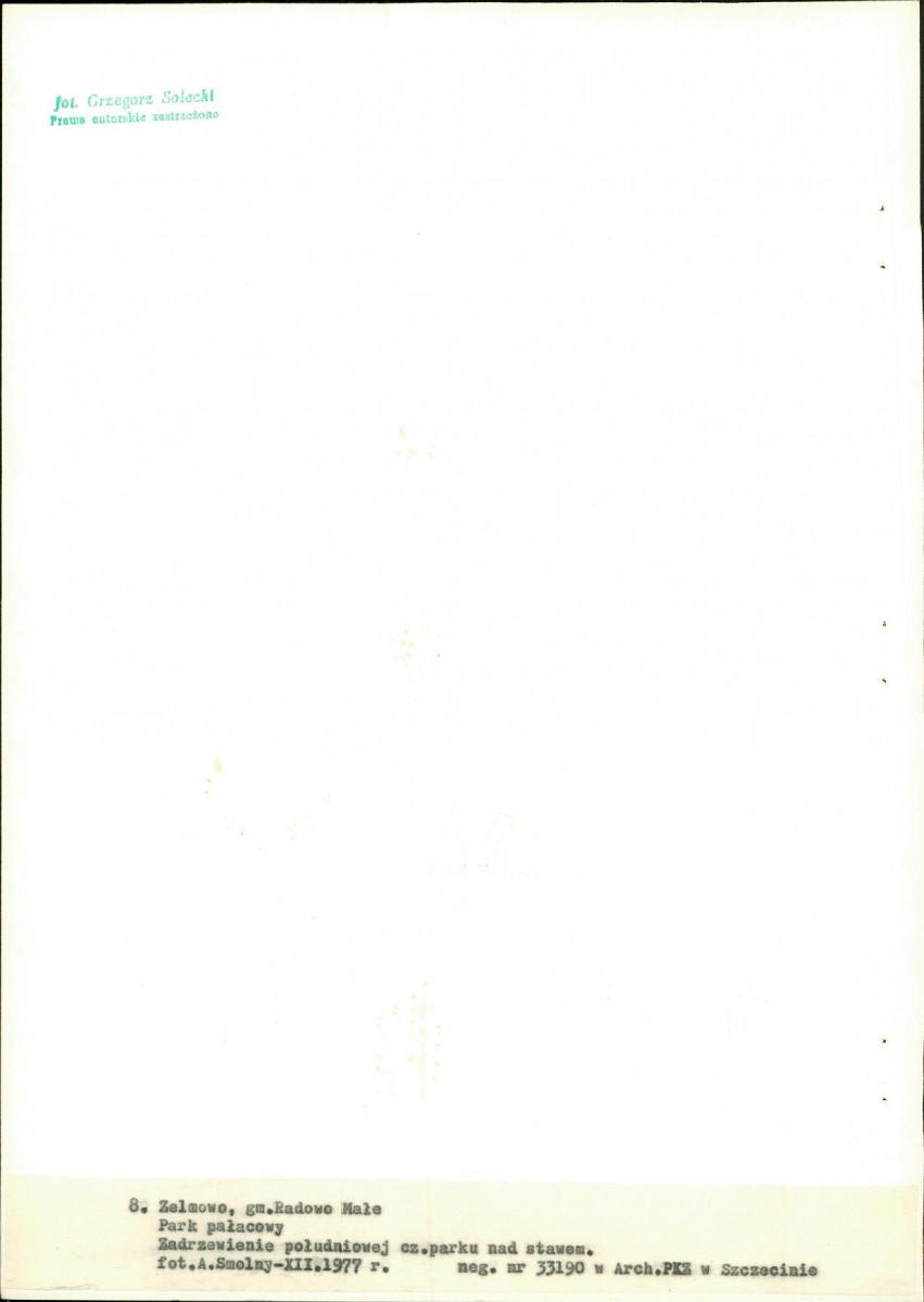 Ewidencja parkowa, skan nr 39
