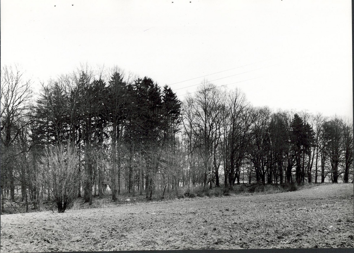 Ewidencja parkowa, skan nr 20