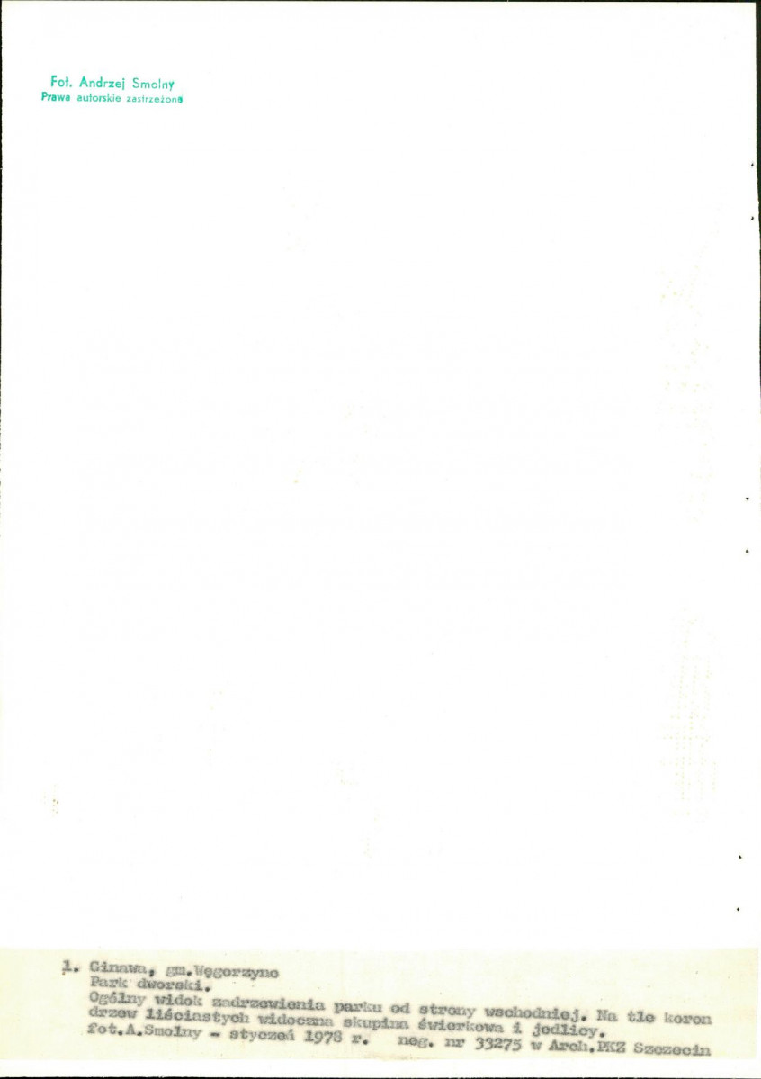 Ewidencja parkowa, skan nr 21