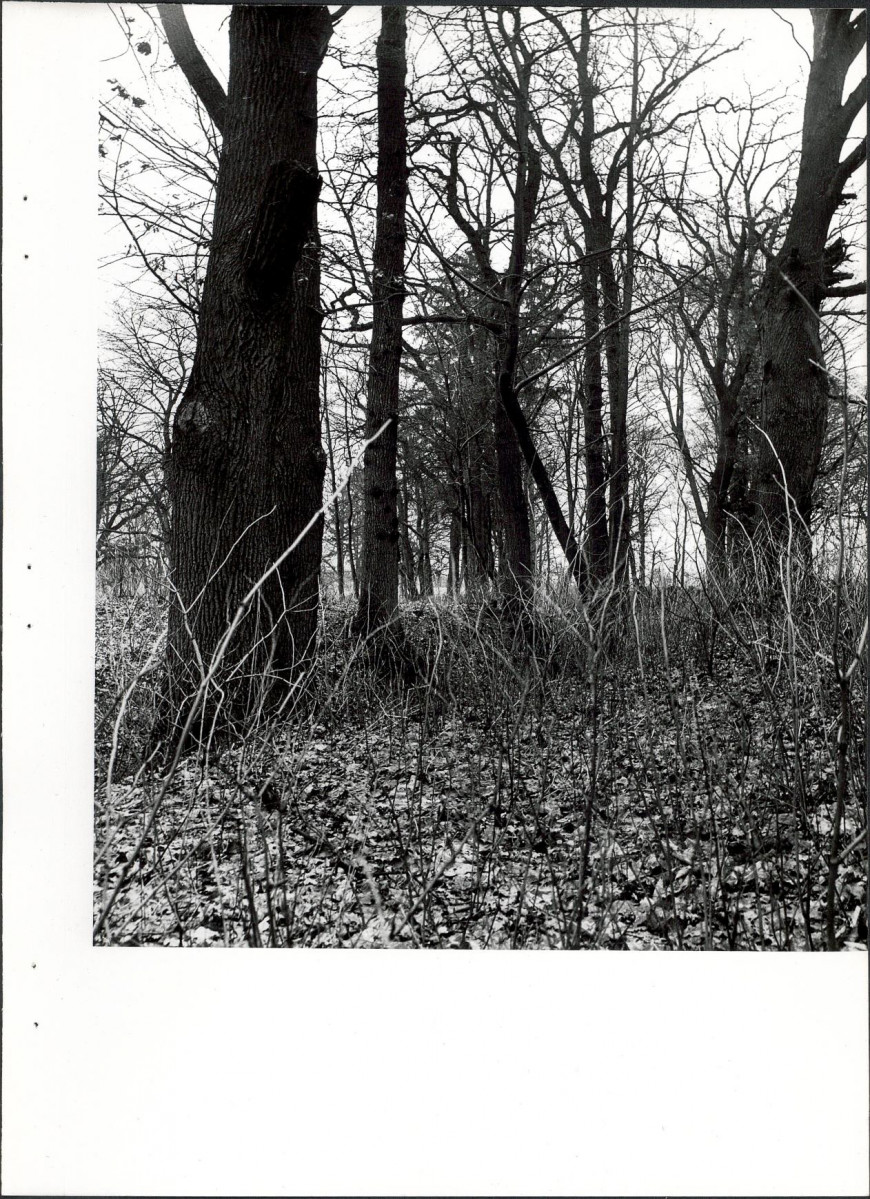 Ewidencja parkowa, skan nr 22