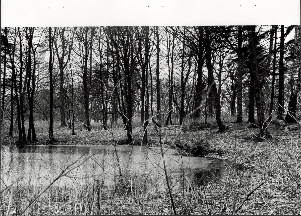 Ewidencja parkowa, skan nr 24