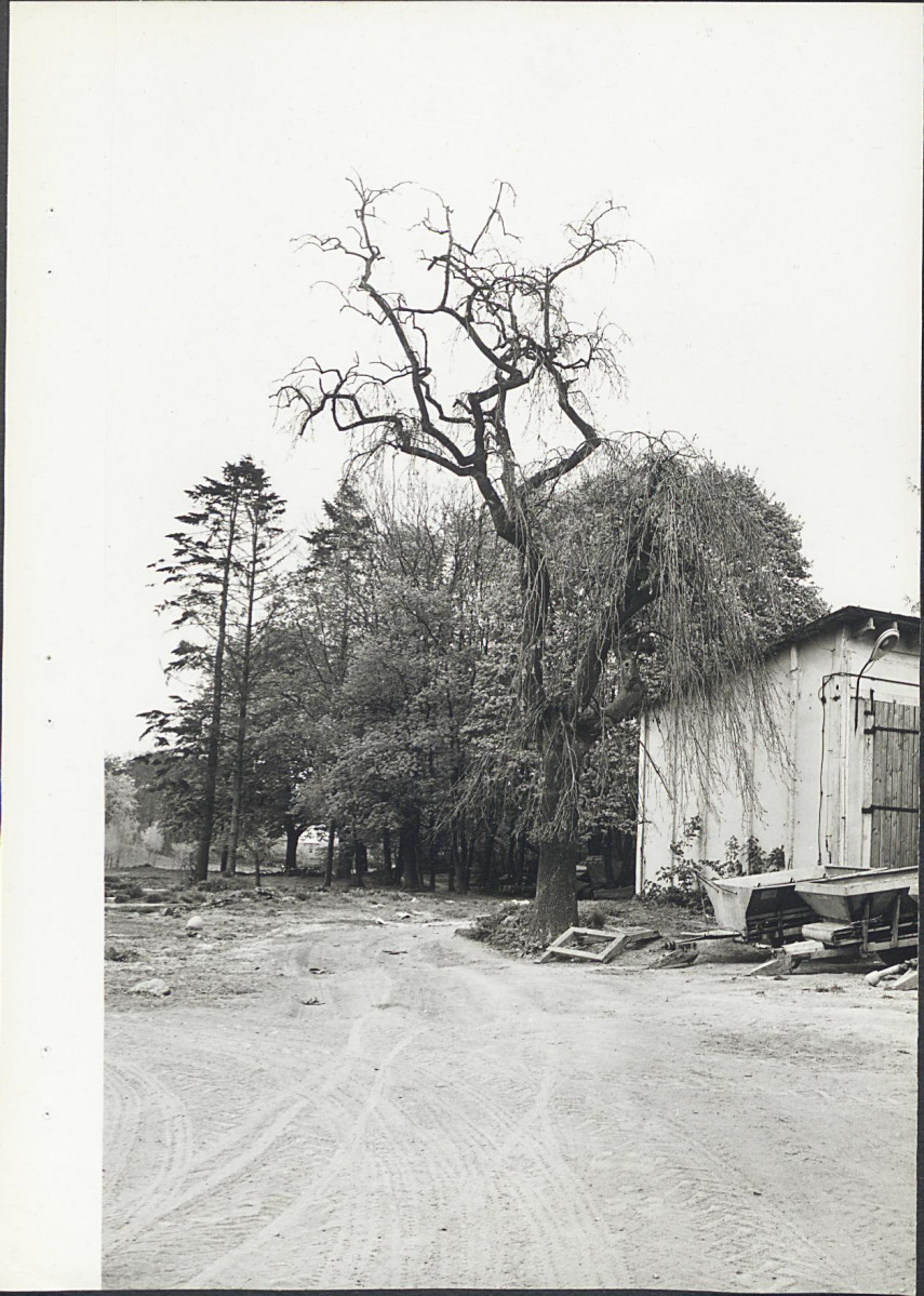 EP - Ewidencja parkowa, skan nr 42