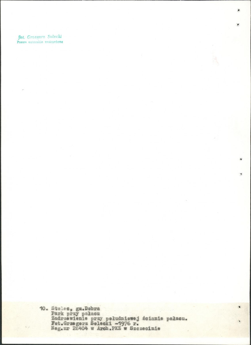 Ewidencja parkowa, skan nr 40
