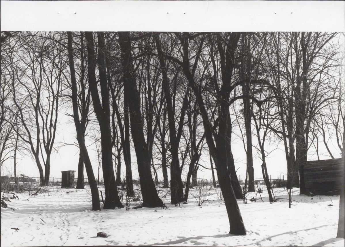 Ewidencja parkowa, skan nr 21
