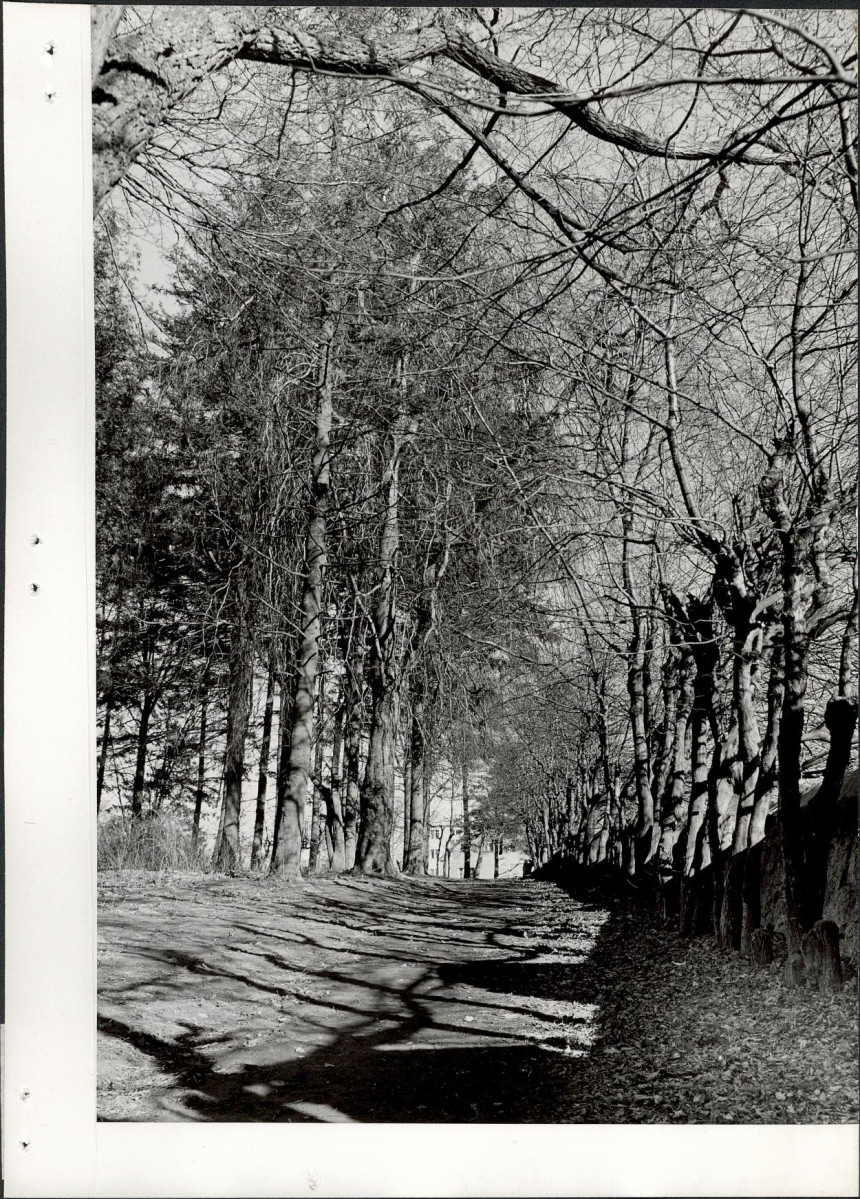 Ewidencja parkowa, skan nr 22